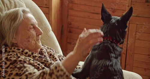 An old woman with a dog at home, stroking her beloved pet with wrinkled hands photo