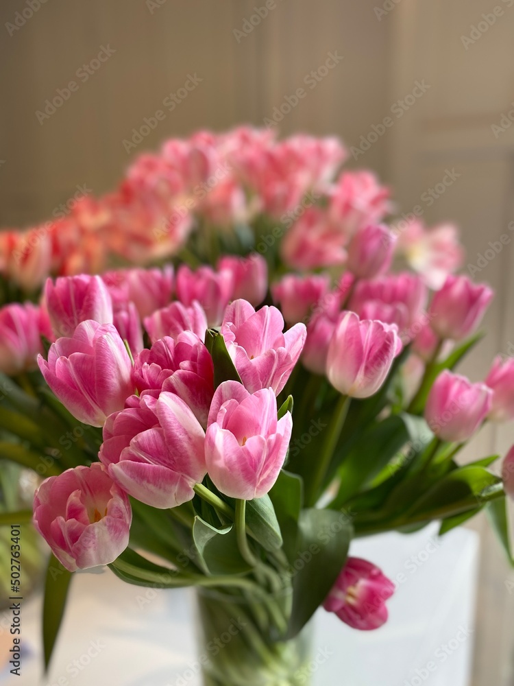 Fototapeta premium bouquet of pink tulips