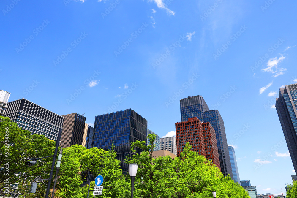 Fototapeta premium 東京駅の高層ビルと青空（行幸通りから）