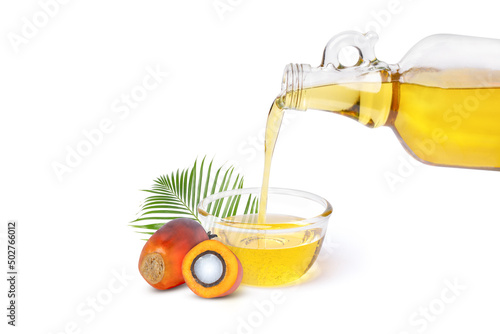 Palm oil  photo