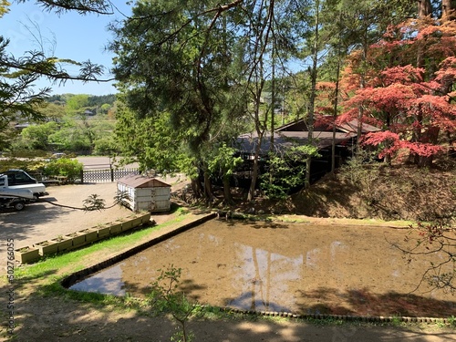 平泉の毛越寺