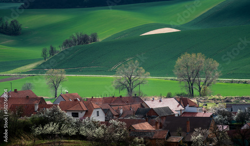 Beautiful green hills in spring