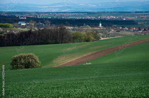 Beautiful green hills in spring