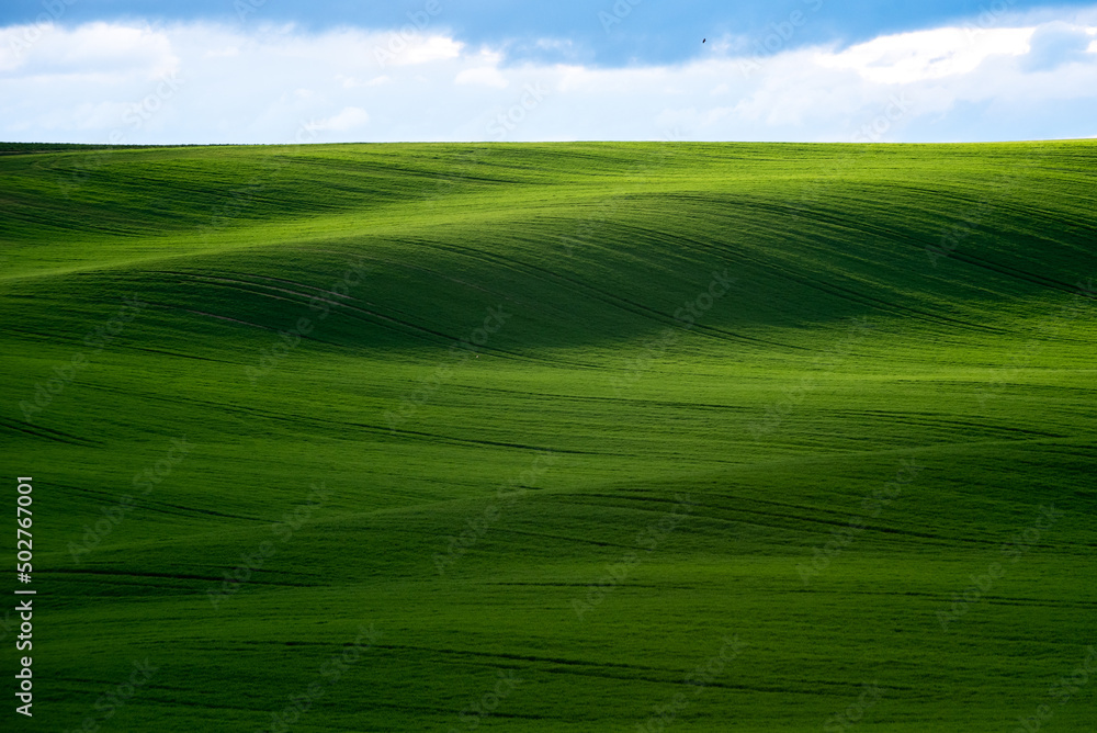Beautiful green hills in spring Beautiful green hills in spring