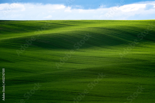 Beautiful green hills in spring