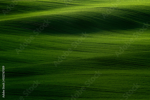 Beautiful green hills in spring © ancamilushev