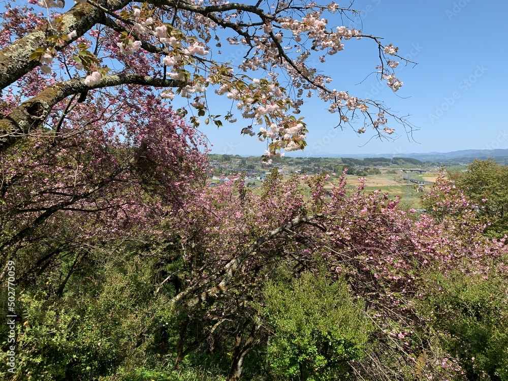 平泉の中尊寺参道からの景色