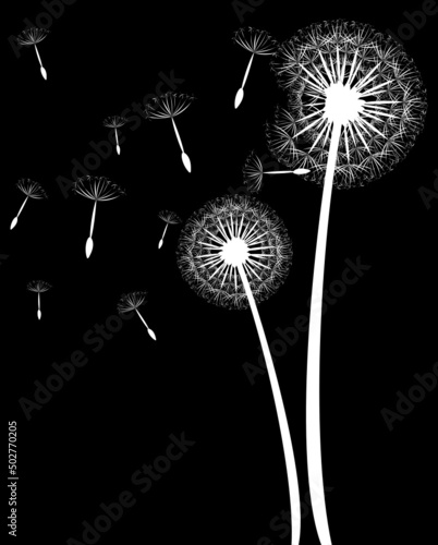 Pusteblume