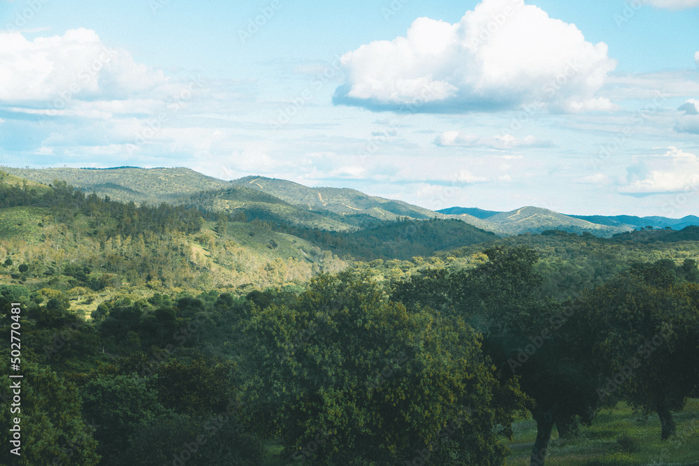 Fototapeta premium landscape with mountains