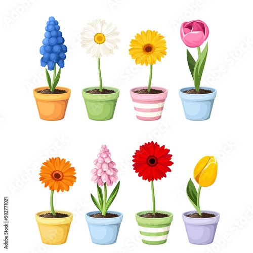 Colorful spring flowers in flowerpots isolated on a white background. Set of vector illustrations