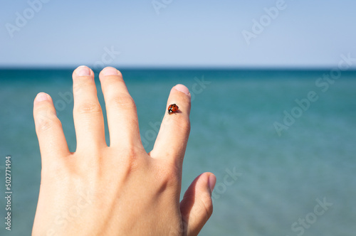 Ladybug on the finger by the sea. The concept of rest, vacation, enjoyment of nature. Front view. © Anastasiia