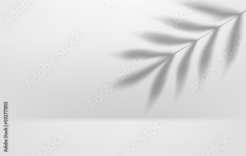 Bright interior with leaf shadow. 3d vector illustration with shadow overlay effect
