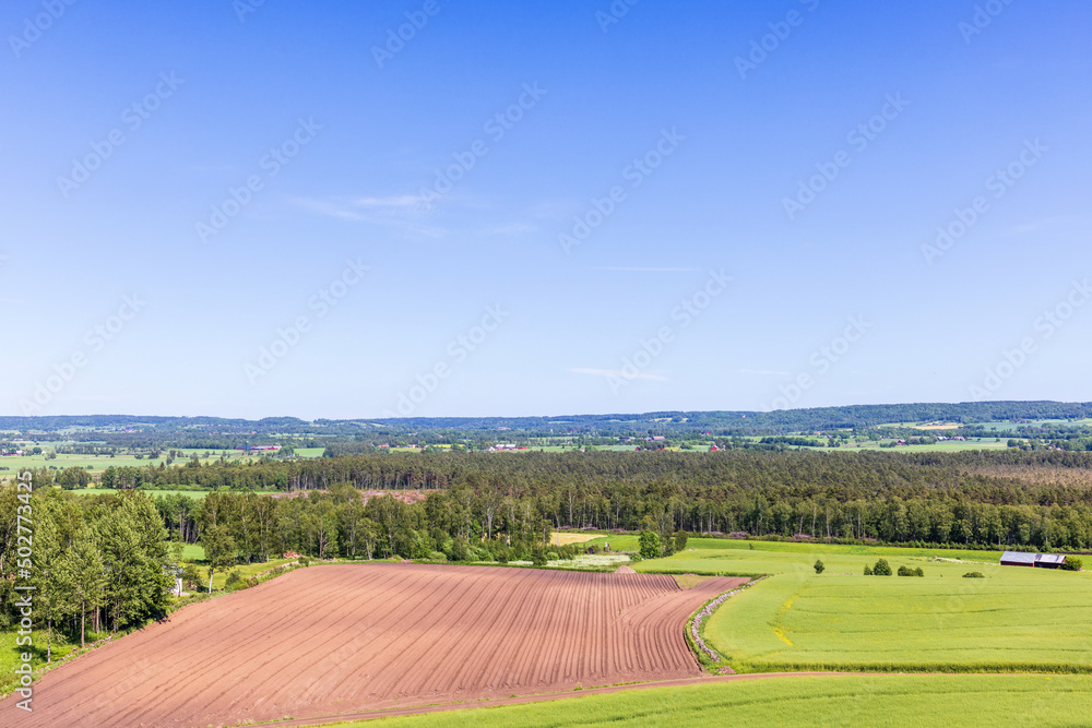 Fields and woodland in a beautiful countryside view
