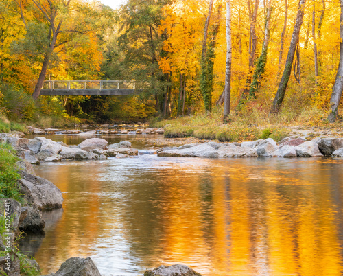 River with some reflections  autumn forest and bridge in the background