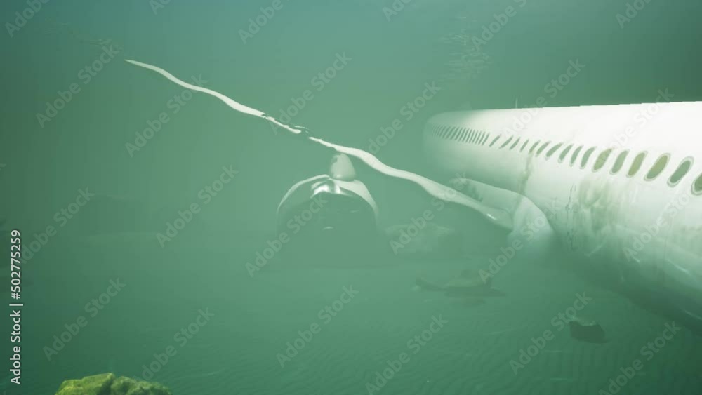 The plane lying on the bottom of the sea, after a plane crash. First