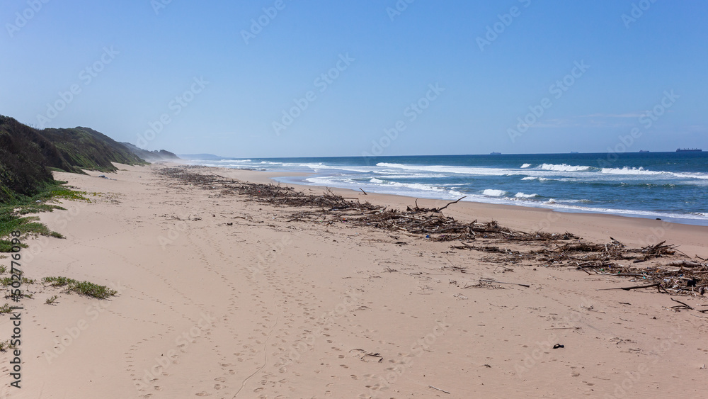 Beach Ocean Rain River Flood Trees Branches Coastline Beach Ocean Rain River Flood Trees Branches Coastline