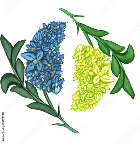  Watercolor illustration blue and yellow flowers with leaves .Design for wedding invitation, fabric, packaging, textile, cover, postcard, paper, greeting cards, blog.Isolated on white background.