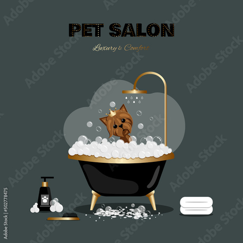 Grooming pet salon. Cheerful dog bathing in the bathroom. Dog illustration for grooming salon pet grooming luxury golden design, gold