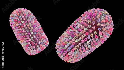 Fotografie Mokola virus, an RNA virus related to rabies virus
