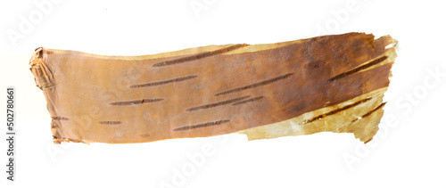 birch bark on a white isolated background