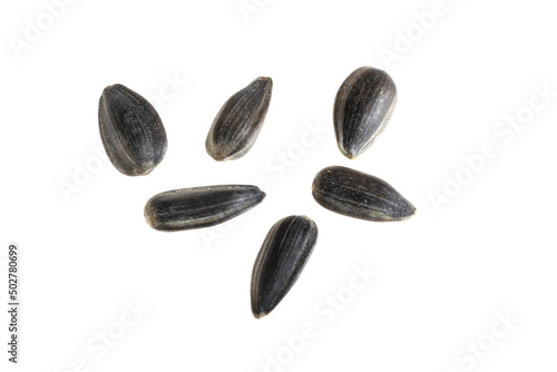 sunflower seeds on a white isolated background