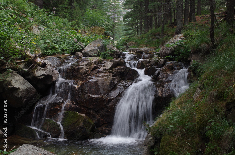 Skakavitsa river, Rila mountain, Bulgaria Skakavitsa river, Rila mountain, Bulgaria