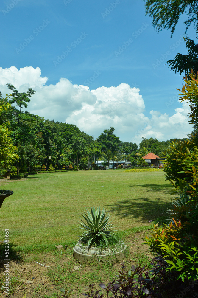 tree view in park with cloud and clear sky Stock Photo | Adobe Stock