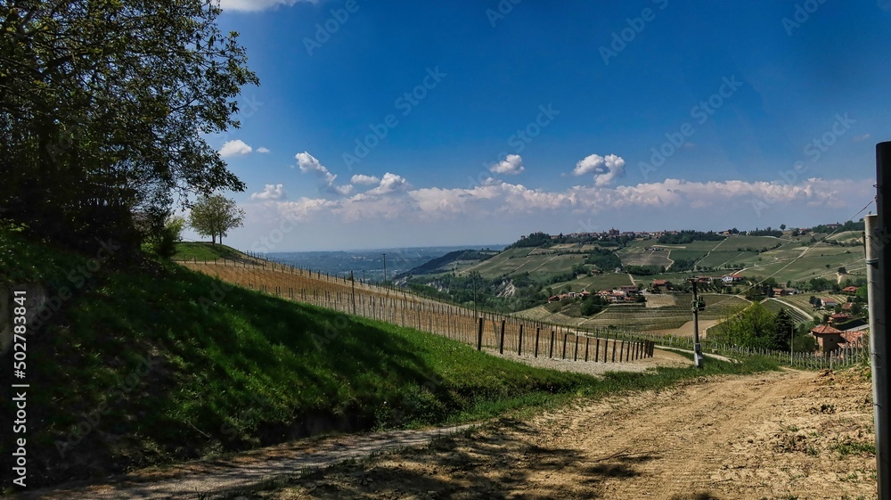 landscapes of the Piedmontese Langhe of Barolo and Monforte d'Alba with their vineyards in the period of spring 2022