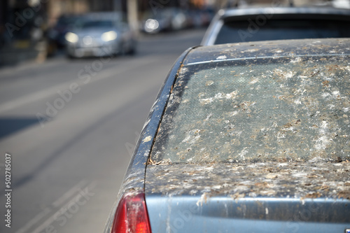 A car completely covered in bird poop
