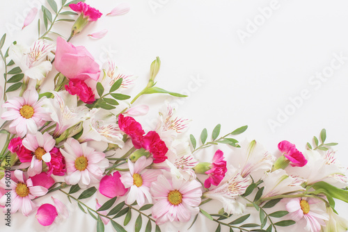 beautiful pink and white flowers on white background