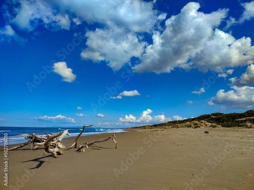 Fototapeta Naklejka Na Ścianę i Meble -  Marine landscape of the beach of Marina Castagneto Carducci Tuscany Italy