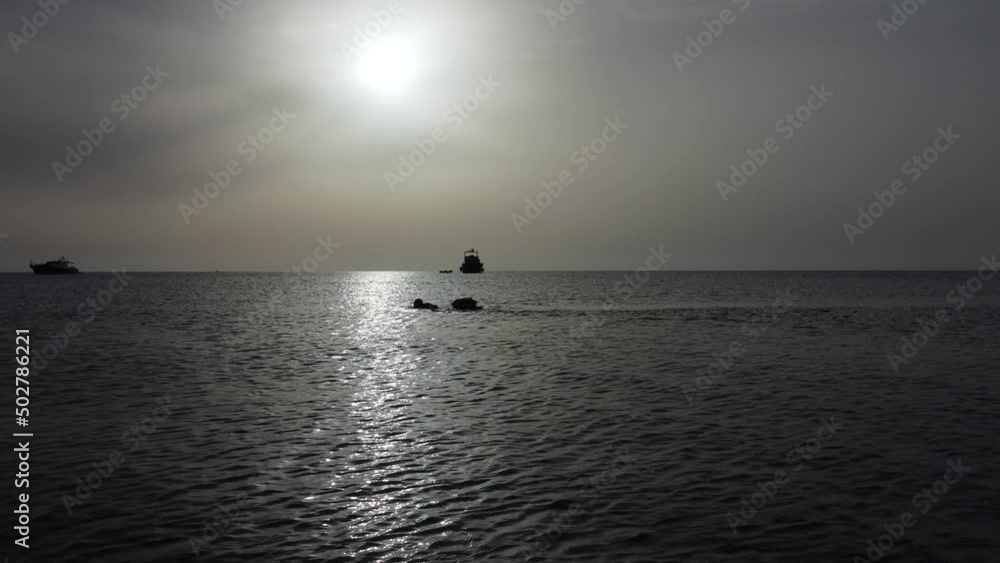 A swimmer swims along the shore at dawn. High quality 4k footage A swimmer swims along the shore at dawn. High quality 4k footage