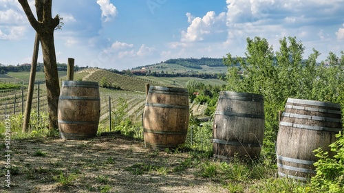 wooden wine barrels among the vineyards in the Piedmontese Langhe near Alba  in the spring of 2022