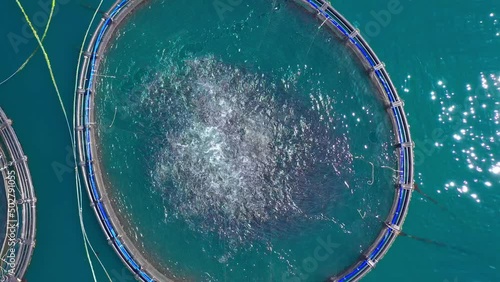 Cage system fish farming in Greece aerial view photo