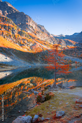 Lake Arpy and autumnal foliage in Aosta Valley Italy © Stefano Zaccaria