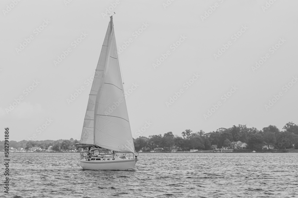 Sailboat on the water with sails up in black and white