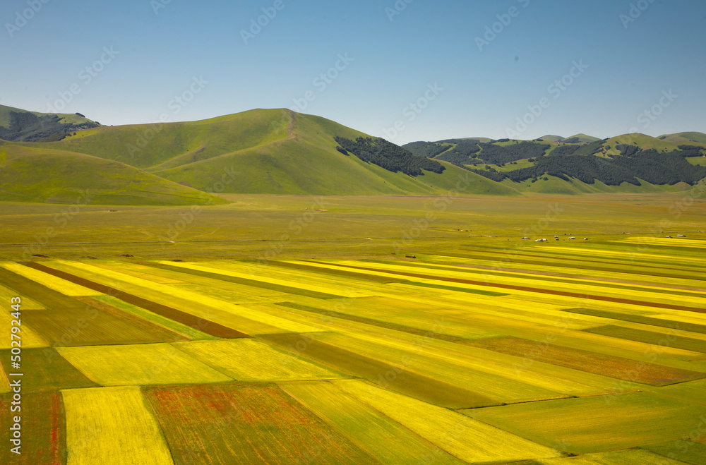 Castelluccio di Norcia, fioritua