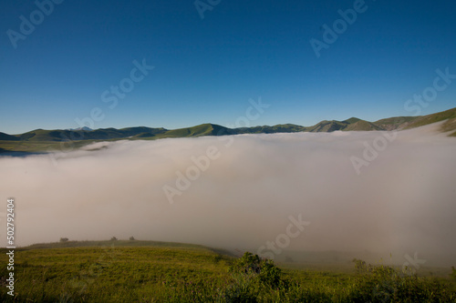 Castelluccio di Norcia, fioritua