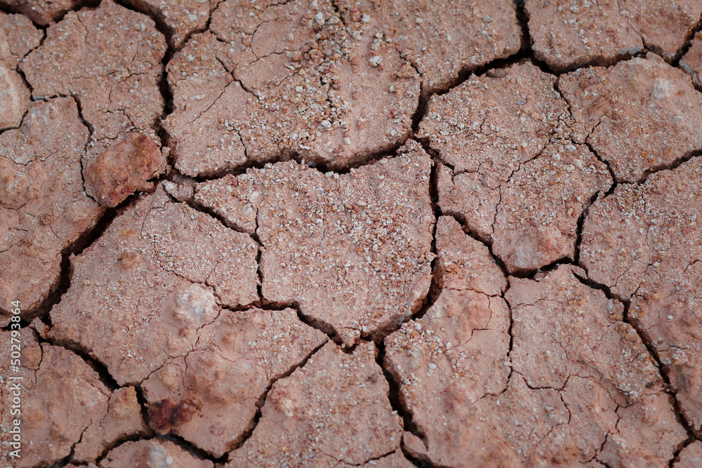 Top view cracked red soil. Picture of natural disaster. Drought land, global warming and deforestation. Image of brown soil texture, close up.