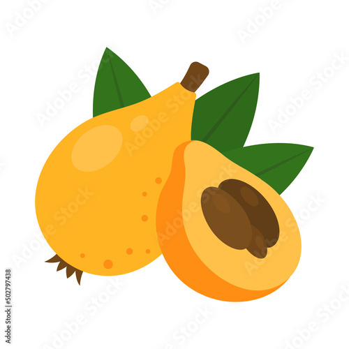 Fotografiet Loquat whole fruit and half sliced isolated on white background