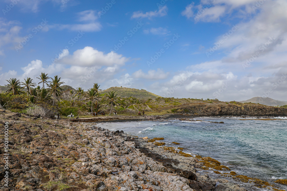 Atlantic coast of Le Marin, Martinique, French Antilles