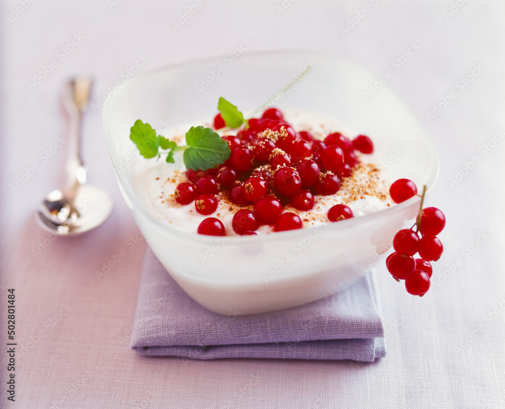 Dessert with currants on mascarpone cream in a bowl Dessert with currants on mascarpone cream in a bowl