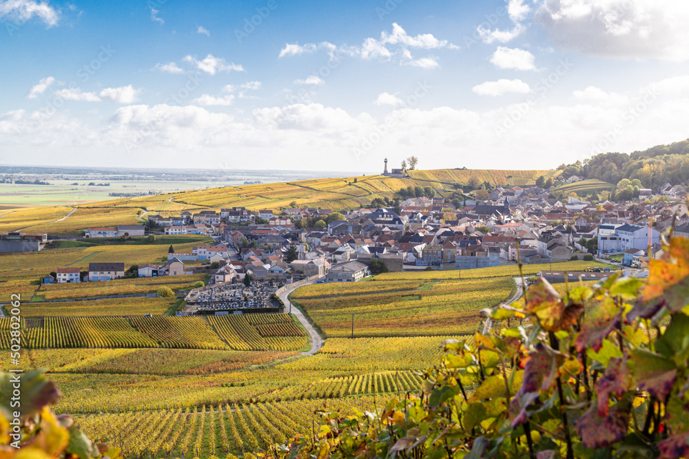 Vue panoramique sur le Le Phare de Verzenay, au coeur du vignoble champenois, érigé en 1909 par Joseph Goulet, négociant en vins de Champagne entre Reims et Epernay, dans la Marne