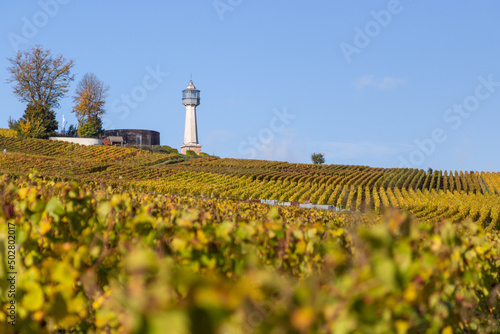 Foto Le Phare de Verzenay, au coeur du vignoble champenois, érigé en 1909 par Joseph