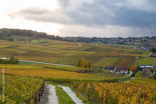 Vue sur les vignes depuis sur le Le Phare de Verzenay, au coeur du vignoble champenois, érigé en 1909 par Joseph Goulet, négociant en vins de Champagne entre Reims et Epernay, dans la Marne