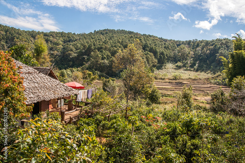 Hut in the mountains, Pang Oung Roum Thai Village, A urban village surrounded by pine trees and mountain chains in Mae Hong Son Province, Northern Thailand