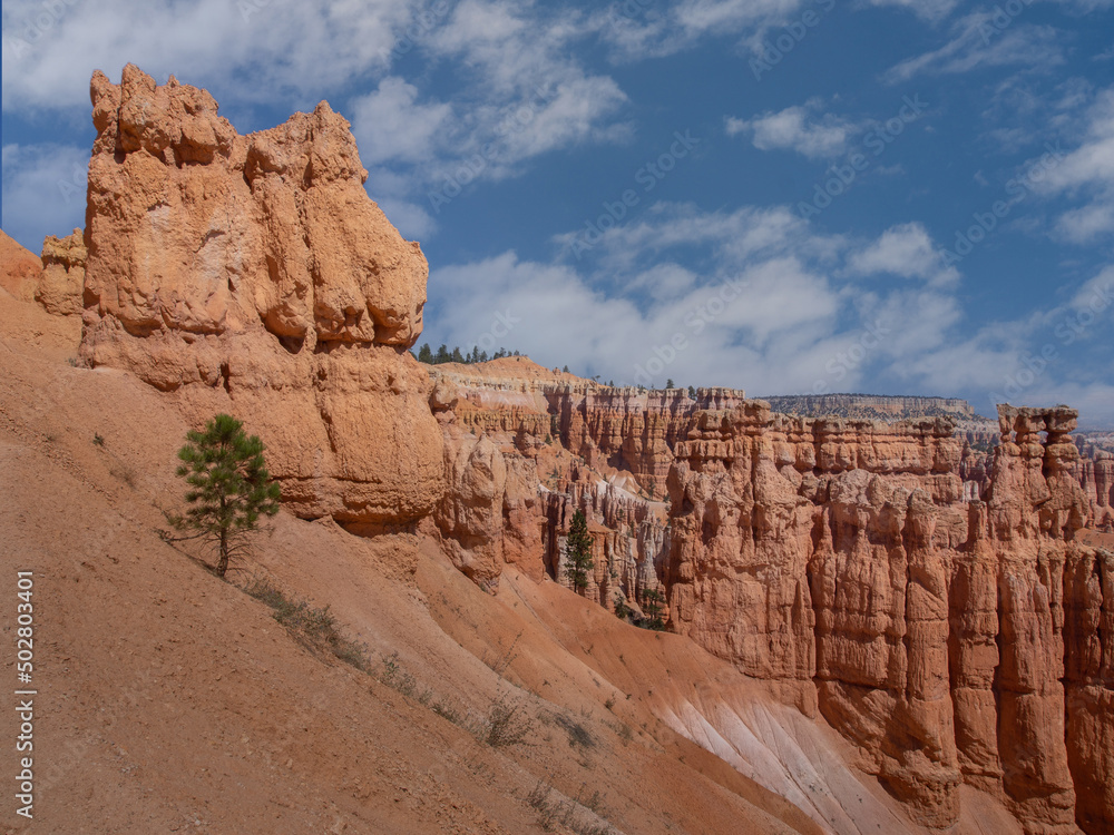 Southwest usa Bryce Canyon National Park (a rocky town of red-rose towers and needles in a closed amphitheater) Southwest usa Bryce Canyon National Park (a rocky town of red-rose towers and needles in a closed amphitheater)
