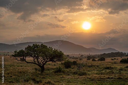 beautiful African landscape at sunset (Kenya Africa)