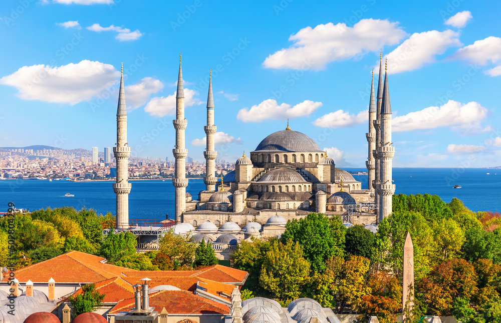 Istanbul roofs by The Blue Mosque or Sultan Ahmet Mosque, Bosphorus, Turkey