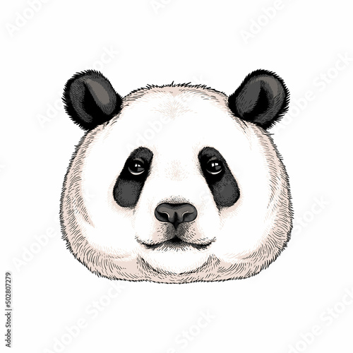 Cute big panda portrait. Vector illustration. Stylish image for printing on any surface